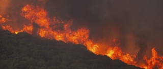 Bränderna fortsätter rasa i Grekland