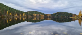 Dagens läsarbild: Rakt in i hjärtat