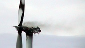 Följ Norrköpings nej till vindkraft