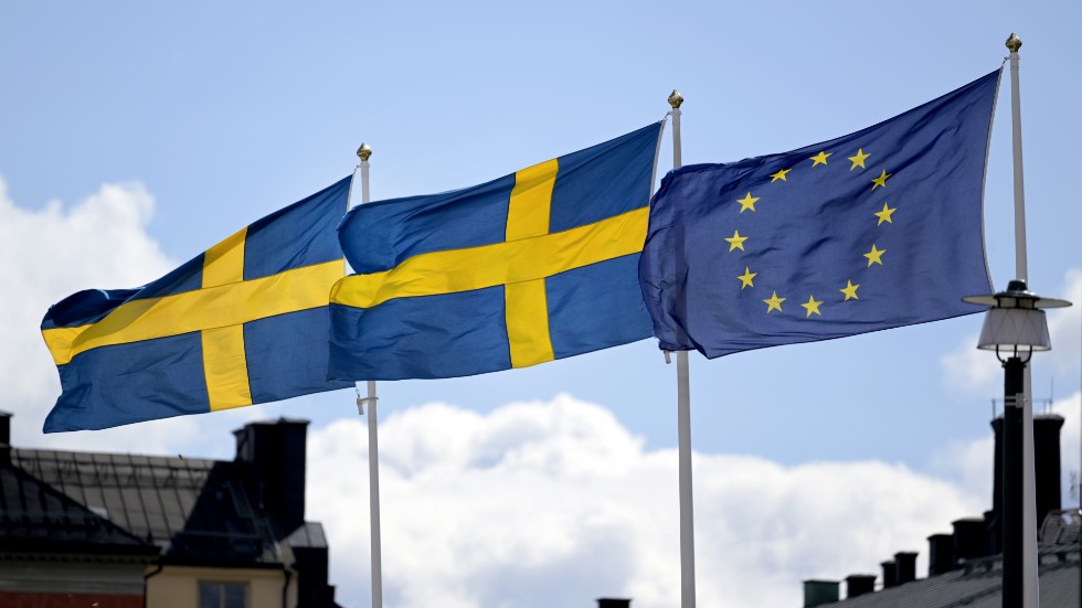 I år prognosticerar EU-kommissionen att Sverige kommer få lägst tillväxt i hela EU, skriver debattören.