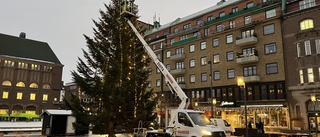 Man kissade på Eskilstunabornas julgran – får böter