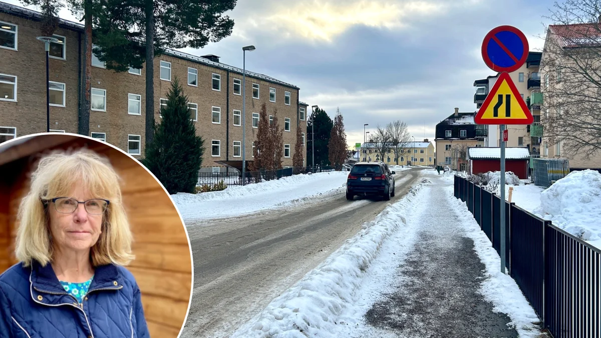 Stökig trafiksituation – vill göra gångfartsområde