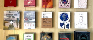Tre omtalade nordiska böcker som kan prisas