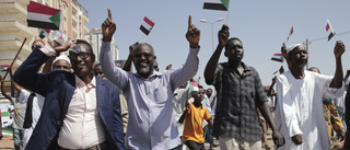 FN avslutar fredsinsatsen i Sudan