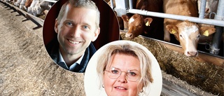 Politiker lovade mer närproducerad skolmat – så blev det ✓Fler lokala leverantörer ✓Mer svenskt kött