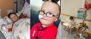 Fyraårige Teitur fick leukemi – nu promenerar han mot barncancer