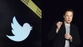 Medier: Elon Musks Twitterköp klart