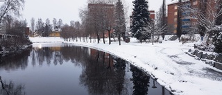 Bodån i grått skapar skönhet flott