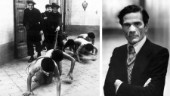 Erotik, våld och förnedring – kontroversielle Pasolini hundra år och ännu lika aktuell 