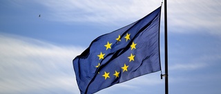 Även vid EU-val är "valkompasser" opålitliga vägvisare
