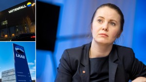 Toppolitiker varnar för statliga bolagens chefstrategi