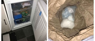 Fyndet: Polisen hittade narkotikagömma i frysen 