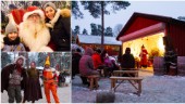Så tycker besökarna om Kolmårdens stora julsatsning: "De lyckas skapa julstämning" · Barnen om sin favorit