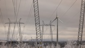 Elbolagets prognos: Så blir elpriserna i norr i vinter