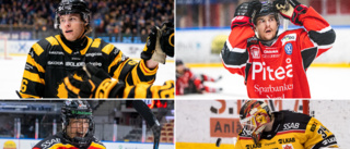 Piteå • Luleå • Skellefteå • Vad önskar du mest av hockeyåret 2023?