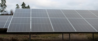 Solkraftsföretag ger inte upp Lofta – trots avslag