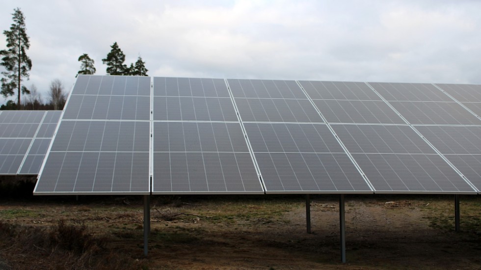 Utöver solcellsparken på Kiras öken har ETC planerat att bygga en solcellsanläggning i Älgshult. Men de planerna har nu skrotats.