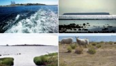 Så många öar finns det i Gotlands län – Kan du räkna upp alla?