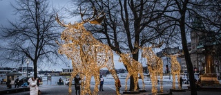 Låt inte december bli en mur av våt betong