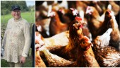 Hönsägare varnas för fågelinfluensa • Margareta, som har höns i Almvik: "Om de var ute, skulle vi vara oroliga"