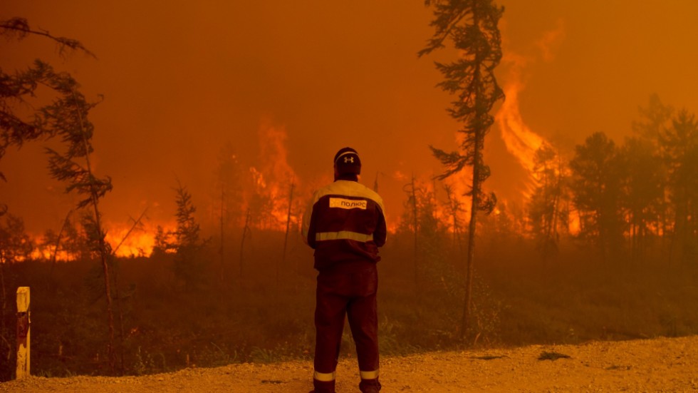 Bränderna i Sibirien har de senaste åren varit av en aldrig tidigare skådad omfattning. Bilden, som är tagen i augusti 2021, är från skogarna i Jakutien (Sacha-republiken) i nordöstra Sibirien.