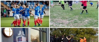 Lokala fotbollsåret: ✓ Profilerna ✓ Citaten ✓ Flopparna