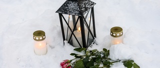 Ivo ska granska Luleå kommun efter misstänkta mordet