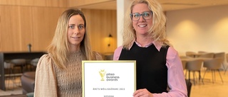 Två nya priser till Piteå business awards