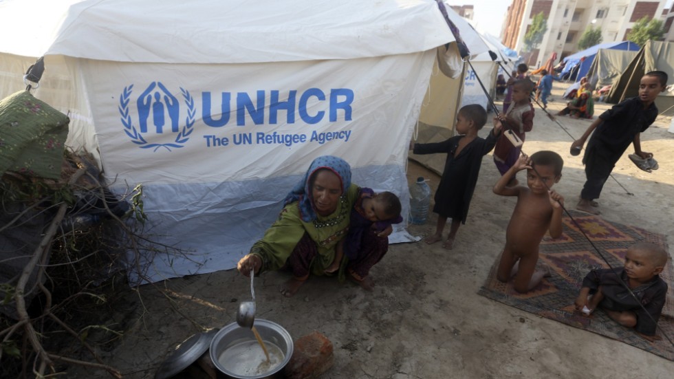 Skribenten fick kalla kårar av avslöjandena om UNHCR. Bilden är tagen i Pakistan.