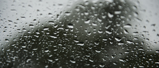 Vädret på nyårsdagen: Regn och nollgradigt 