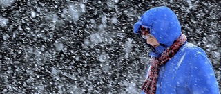 Väder: Snöfall och hårda vindbyar i fjällen