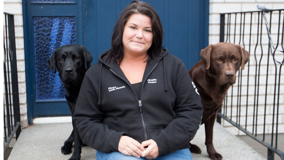 I augusti startade Linda Nymark webbshopen Zoonix med hundtillbehör. Labradorerna Chaplin och Cooper är hennes ögonstenar.