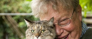 Nils Uddenberg: Gubbe och katt – en kärlekshistoria