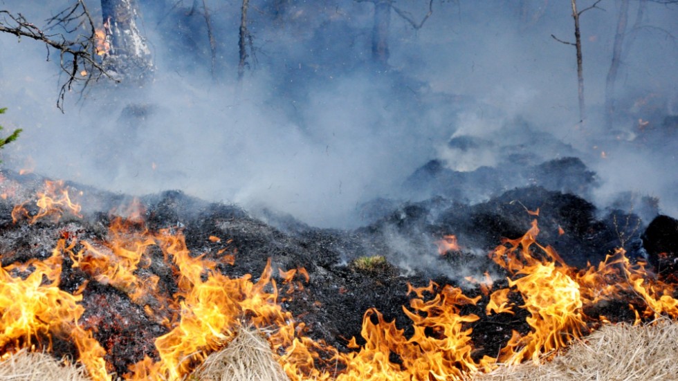 Det råder risk för gräsbränder i södra Sverige, meddelar SMHI. Arkivbild.