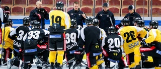 Luleå Hockeys resa: Från botten till toppen