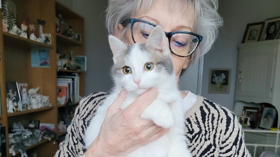 Katten Cleo har haft en minst sagt dramatisk start på livet. Men lika glad för det är hon. "Nu kommer hon få ett långt och lyckligt liv", säger Monica Johansson som måste hålla ett stadig tag om den busiga kattungen för att vi ska kunna ta en någorlunda bra bild. 