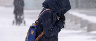 Blåsiga snösmockor väntar – SMHI varnar