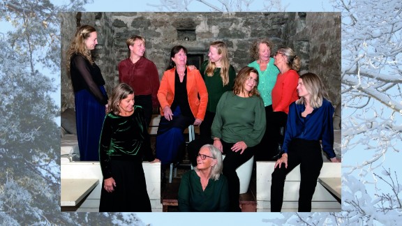 Julkonsert med Vokalensemblen Dona Nona