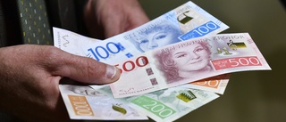 Ingves: Både euron och kronan kan gå