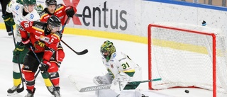 Ikonens son flirtar med Luleå Hockey