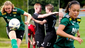Gustaf skadad - 17-årig debutant i ESK-målet