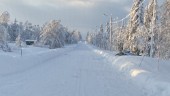 Man i 45-årsåldern anhållen för mord i Norrbotten – efter intensiv spaning • Polisen: "Någon form av skärande våld"