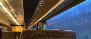 Passagerare fast på tåg i timmar efter älgkrock – fick vända tillbaka: "Krypkör och stannar"