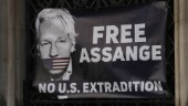 Stora medier: Släpp Assange