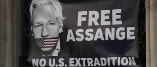 Stora medier: Släpp Assange