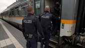 Europeisk polisstyrka kan knäcka gängen 