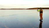 Fyra genom isen i Luleå: "Förenat med livsfara"