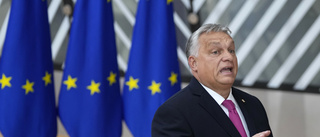 Ungern röstar inte om svensk Natoansökan