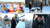 BILDEXTRA: Snöyra i Linköping • "Det är fint. Men jävligt kallt"