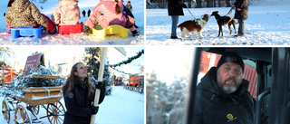BILDEXTRA: Snöyra i Linköping • "Det är fint. Men jävligt kallt"